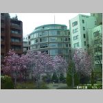 20070316 15.jpg